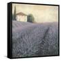 Lavender Hills Detail-James Wiens-Framed Stretched Canvas