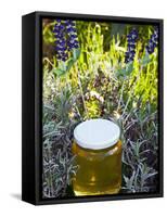 Lavender Honey in Jar and Lavender Plant-Nico Tondini-Framed Stretched Canvas