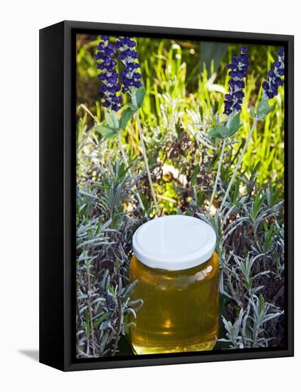 Lavender Honey in Jar and Lavender Plant-Nico Tondini-Framed Stretched Canvas