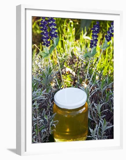 Lavender Honey in Jar and Lavender Plant-Nico Tondini-Framed Premium Photographic Print