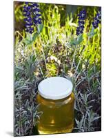 Lavender Honey in Jar and Lavender Plant-Nico Tondini-Mounted Premium Photographic Print