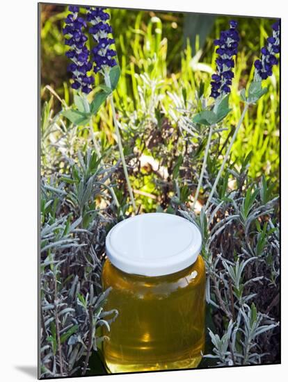 Lavender Honey in Jar and Lavender Plant-Nico Tondini-Mounted Premium Photographic Print