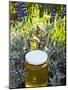 Lavender Honey in Jar and Lavender Plant-Nico Tondini-Mounted Photographic Print