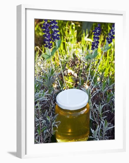 Lavender Honey in Jar and Lavender Plant-Nico Tondini-Framed Photographic Print