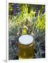 Lavender Honey in Jar and Lavender Plant-Nico Tondini-Framed Photographic Print