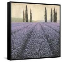 Lavender Horizon Detail-James Wiens-Framed Stretched Canvas