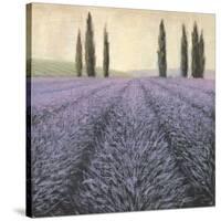 Lavender Horizon Detail-James Wiens-Stretched Canvas