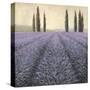 Lavender Horizon Detail-James Wiens-Stretched Canvas