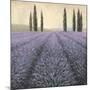 Lavender Horizon Detail-James Wiens-Mounted Art Print