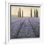 Lavender Horizon Detail-James Wiens-Framed Art Print