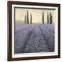 Lavender Horizon Detail-James Wiens-Framed Art Print