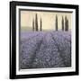 Lavender Horizon Detail-James Wiens-Framed Art Print