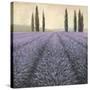 Lavender Horizon Detail-James Wiens-Stretched Canvas