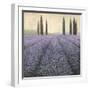 Lavender Horizon Detail-James Wiens-Framed Art Print