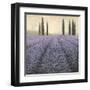 Lavender Horizon Detail-James Wiens-Framed Art Print