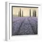 Lavender Horizon Detail-James Wiens-Framed Art Print