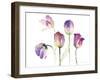 Lavender Hues Tulips II-Lanie Loreth-Framed Art Print