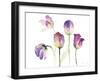 Lavender Hues Tulips II-Lanie Loreth-Framed Art Print