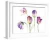 Lavender Hues Tulips II-Lanie Loreth-Framed Art Print