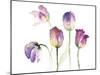 Lavender Hues Tulips II-Lanie Loreth-Mounted Art Print