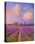 Lavender I-Chris Vest-Stretched Canvas