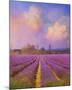 Lavender I-Chris Vest-Mounted Art Print