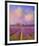 Lavender I-Chris Vest-Framed Art Print