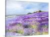 Lavender I-Li Bo-Stretched Canvas