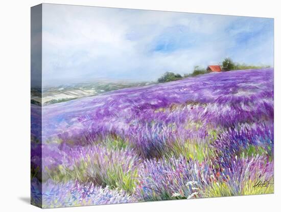 Lavender I-Li Bo-Stretched Canvas