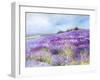 Lavender I-Li Bo-Framed Giclee Print