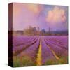 Lavender II-Chris Vest-Stretched Canvas