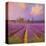 Lavender II-Chris Vest-Stretched Canvas