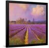 Lavender II-Chris Vest-Framed Art Print