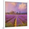 Lavender II-Chris Vest-Framed Art Print