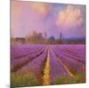 Lavender II-Chris Vest-Mounted Art Print