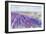 Lavender II-Li Bo-Framed Giclee Print