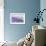 Lavender II-Li Bo-Framed Giclee Print displayed on a wall