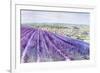 Lavender II-Li Bo-Framed Giclee Print