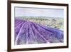 Lavender II-Li Bo-Framed Giclee Print