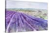 Lavender II-Li Bo-Stretched Canvas