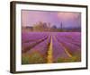 Lavender III-Chris Vest-Framed Art Print