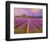 Lavender III-Chris Vest-Framed Art Print