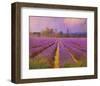 Lavender III-Chris Vest-Framed Art Print