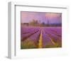 Lavender III-Chris Vest-Framed Art Print