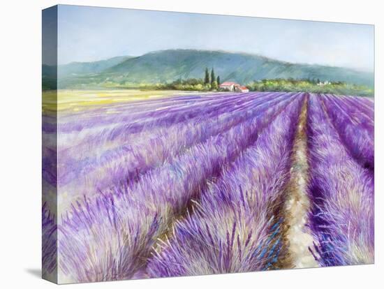 Lavender III-Li Bo-Stretched Canvas