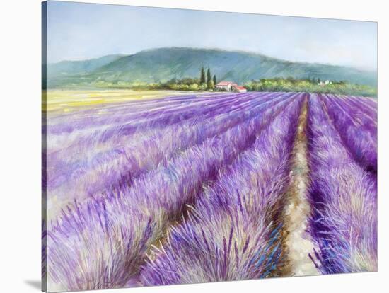 Lavender III-Li Bo-Stretched Canvas