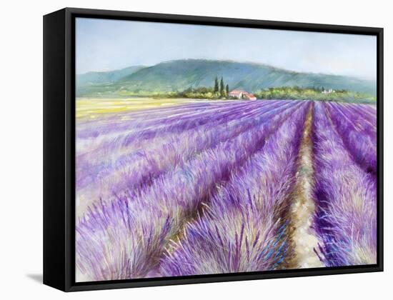 Lavender III-Li Bo-Framed Stretched Canvas