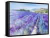 Lavender IV-Li Bo-Framed Stretched Canvas