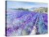 Lavender IV-Li Bo-Stretched Canvas