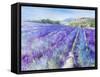 Lavender IV-Li Bo-Framed Stretched Canvas